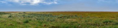 Sonbaharda Hollanda, Lauwersmeer 'in sulak alanlarında panoramik manzara