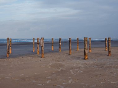 Hollanda 'nın Schiermonnikoog plajına geometrik olarak yerleştirilmiş tahta direkler