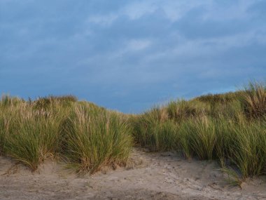 Hollanda, Kuzey Denizi 'ndeki Schiermonnikoog adasındaki kum tepelerine bakın.
