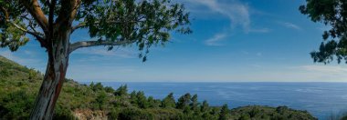 İtalya 'nın Elba adasında Campo NellElba yakınlarındaki manzara ve mavi sular panoramik açıdan görülüyor.