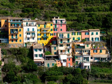 Luguria, İtalya 'nın deniz manzaralı renkli Cinque Terre' lerinden biri olan Manarola 'nın uçurum kentine bakın.