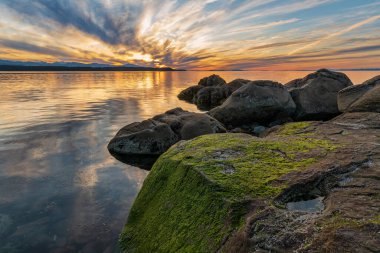Güzel bir yaz akşamı Hornby Adası 'ndaki Phipps Point' te sallanıyor.