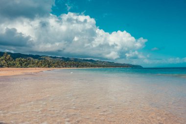 Hindistan cevizi eviyle Karayip Bach 'ı