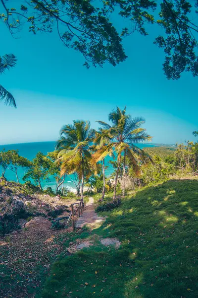 Caribbean view in the mountain with palms trees