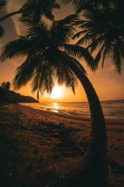 Karayip sahillerinde günbatımı renklerle