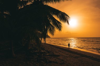 Karayip sahillerinde günbatımı renklerle