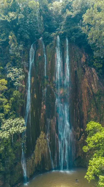 Ormanda güzel bir şelale