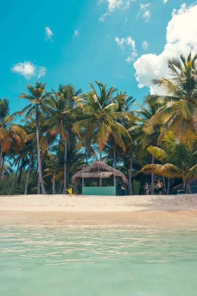 Karayipler 'deki cennet plajı Dominik Cumhuriyeti' ndeki tropikal dünyada ahşap evle