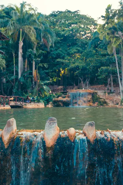 Parktaki güzel bir şelalenin yakın plan çekimi.