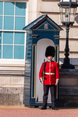 Kralın kraliyet muhafızları 