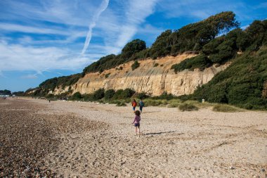 A wide angle view of the hills and where the sand and peddles meet the water.  clipart