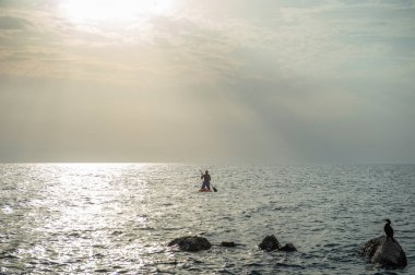 Yalnız bir sörfçü gün batımında sörf tahtasında kürek çeker.