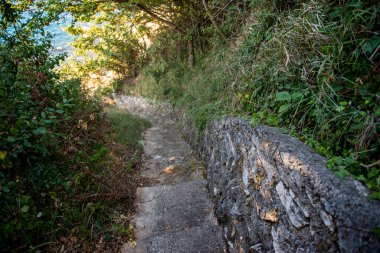 Doğadaki eski taş merdivenler. Denize in. 