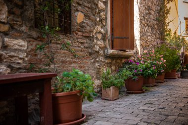 Bir Akdeniz ülkesinde küçük bir kaldırımlı sokak. Güzel pencere panjurları. Açık ve güneşli bir gün. Rovinj, Istrian Yarımadası, Hırvatistan