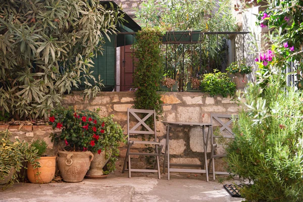 stock image A courtyard with flowers and plants in the Mediterranean town of Rovinj. Istrian Peninsula, Croatia.