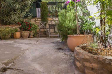 Akdeniz 'in Rovinj kasabasında çiçek ve bitkilerle dolu bir avlu. İstriya Yarımadası, Hırvatistan.