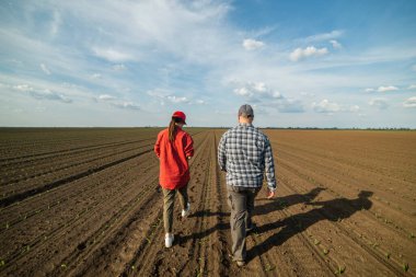 Genç çiftçiler baharda ekilen mısırları inceliyor.