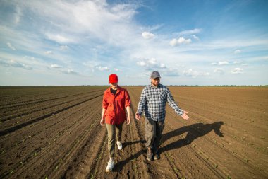 Genç çiftçiler baharda ekilen mısırları inceliyor.