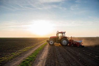 Traktör tohumu olan çiftçi - ilkbaharda tarım tarlalarına ekin ekiyor.