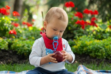 The boy is sitting on the grass in the yard among the flowers and holding a red apple. A beautiful spring day.