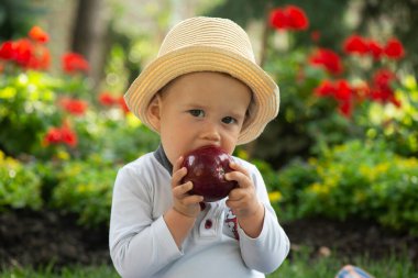 Güzel bir bahar günü yeşil çimenlerde oturan ve olgun organik kırmızı elma yiyen tatlı çocuk. 