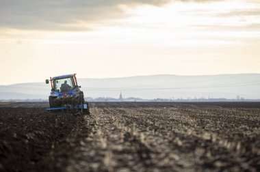 Traktör tarlada çalışıyor, tarlayı ekime hazırlıyor, tarlayı sürüyor.