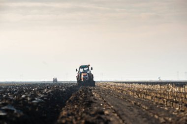 Traktör tarlada çalışıyor, mısırları topladıktan sonra toprağı sonbaharda hazırlıyor. Tarıma elverişli toprakların yetiştirilmesi.