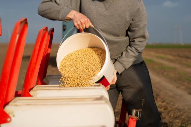 Çiftçi ile ilkbaharda yağan soya tohumları ekme bitkileri tarım alanı için olabilir