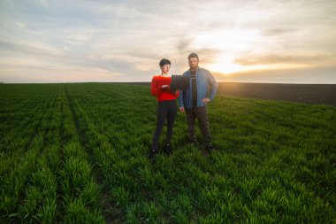 Bir kadın tarım uzmanı ve genç bir çiftçi baharda genç buğday ektiler.