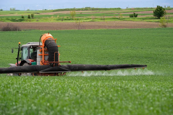 畑で春に小麦を散布するトラクター — ストック写真