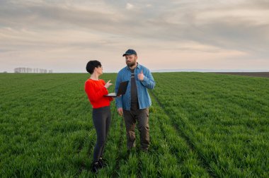 Bir kadın tarım uzmanı ve genç bir çiftçi baharda genç buğday ektiler.