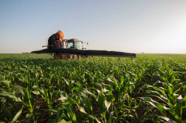 Traktör tarlada böcek ilacı kimyasallarıyla gübreleme yapıyor. 