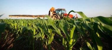 Traktör tarlada böcek ilacı kimyasallarıyla gübreleme yapıyor. 
