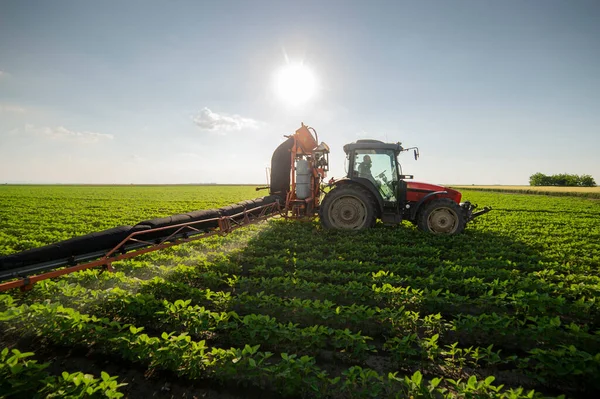 大豆畑で農薬を散布するトラクター — ストック写真