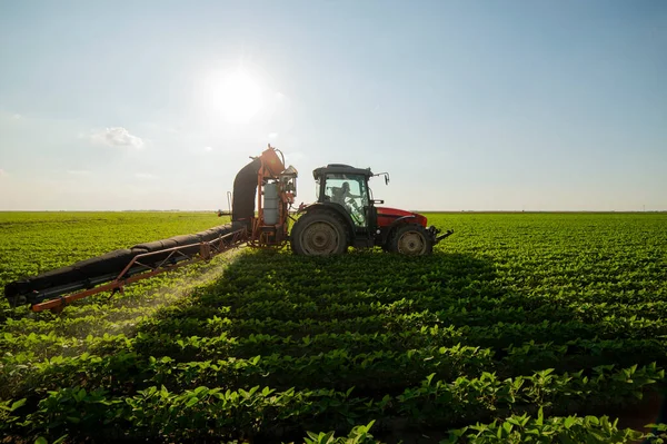 大豆畑で農薬を散布するトラクター — ストック写真