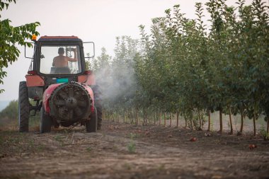 Böcek ve ölümlere karşı meyve bahçesinde ağaç püskürtme