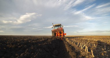 The tractor is working in the field, preparing the soil in the fall after harvesting the corn. Cultivation of arable land.