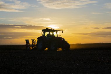The tractor is working in the field, preparing the soil in the fall after harvesting the corn. Cultivation of arable land.