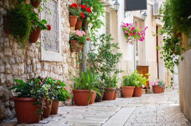 Akdeniz 'de bir sürü çiçeğin olduğu küçük bir kaldırım. Açık ve güneşli bir gün. Porec, Istrian Yarımadası, Hırvatistan