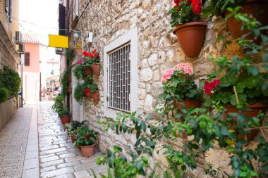 Akdeniz 'de bir sürü çiçeğin olduğu küçük bir kaldırım. Açık ve güneşli bir gün. Porec, Istrian Yarımadası, Hırvatistan