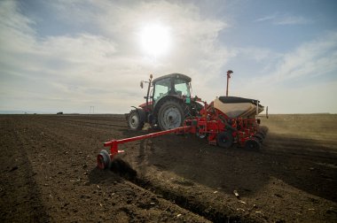 Traktör tohumu olan çiftçi - ilkbaharda tarım tarlalarına ekin ekiyor.