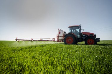 İlkbaharda tarlada buğday püskürten traktör