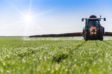 İlkbaharda tarlada buğday püskürten traktör