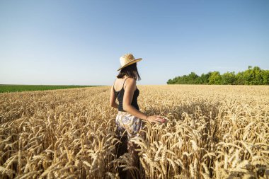Hasır şapkalı bir kadın sarı, olgun buğday tarlasında duruyor. 
