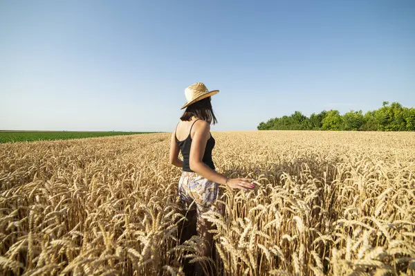 Hasır şapkalı bir kadın sarı, olgun buğday tarlasında duruyor. 