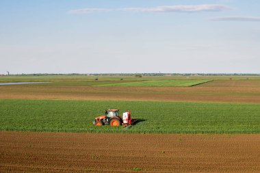 İlkbaharda tarlada buğday püskürten traktör