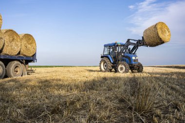 Tarla tarlasında tarım saman vagonu