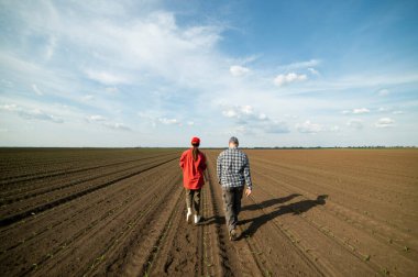 Genç çiftçiler baharda ekilen mısırları inceliyor.