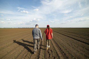 Genç çiftçiler baharda ekilen mısırları inceliyor.