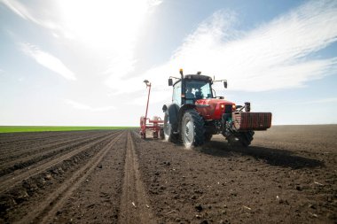 Traktör tohumu olan çiftçi - ilkbaharda tarım tarlalarına ekin ekiyor.